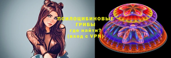 прущие грибы Алексин