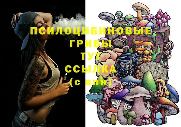 прущие грибы Алексин