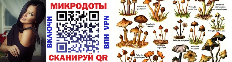 Галлюциногенные грибы Magic Shrooms  блэк спрут ссылка  Сосновый Бор 
