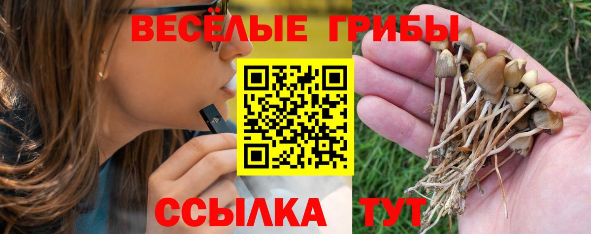 Сосновый Бор  Псилоцибиновые грибы прущие грибы  Вход с VPN 